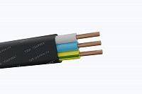 Кабель ВВГнг-LS-П 2х10
