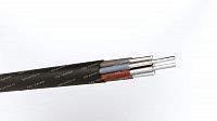 Кабель АКВВГнг(A) 10х6